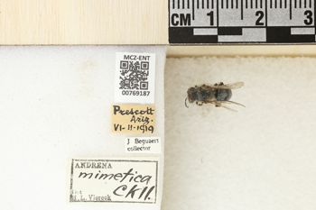 Media type: image;   Entomology 769187 Aspect: Labels